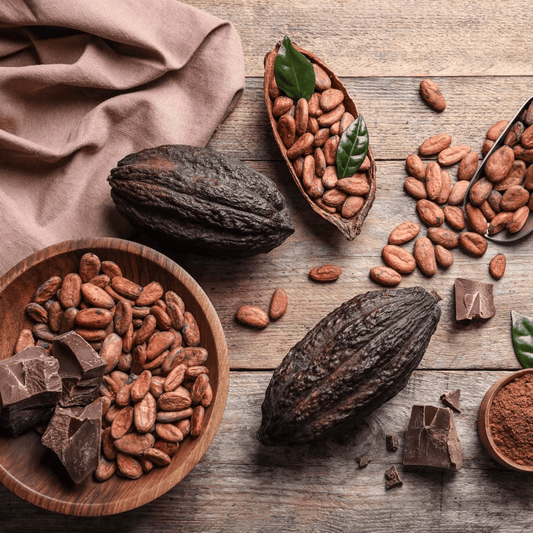 Bio - Kakao Pulver, 500g - Kokoswelt