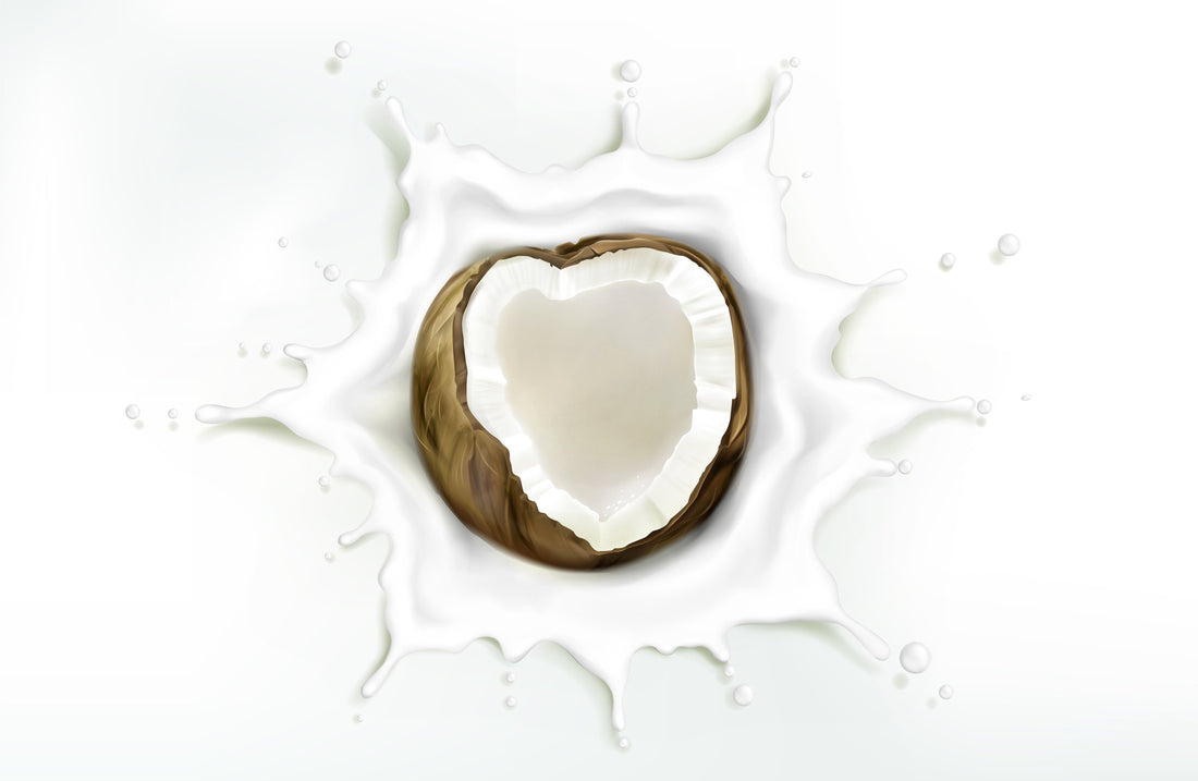 Kokosnuss: Mythos oder Superfood?