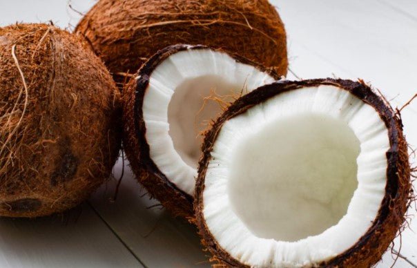 Kokosnuss: Die tropische Kraft für dein Wohlbefinden - Kokoswelt